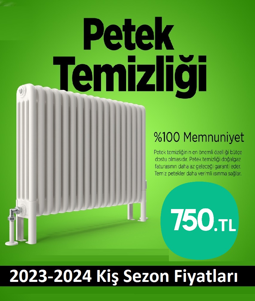 Kartepe Petek Temizliği Tek Fiyat Teklifi Al